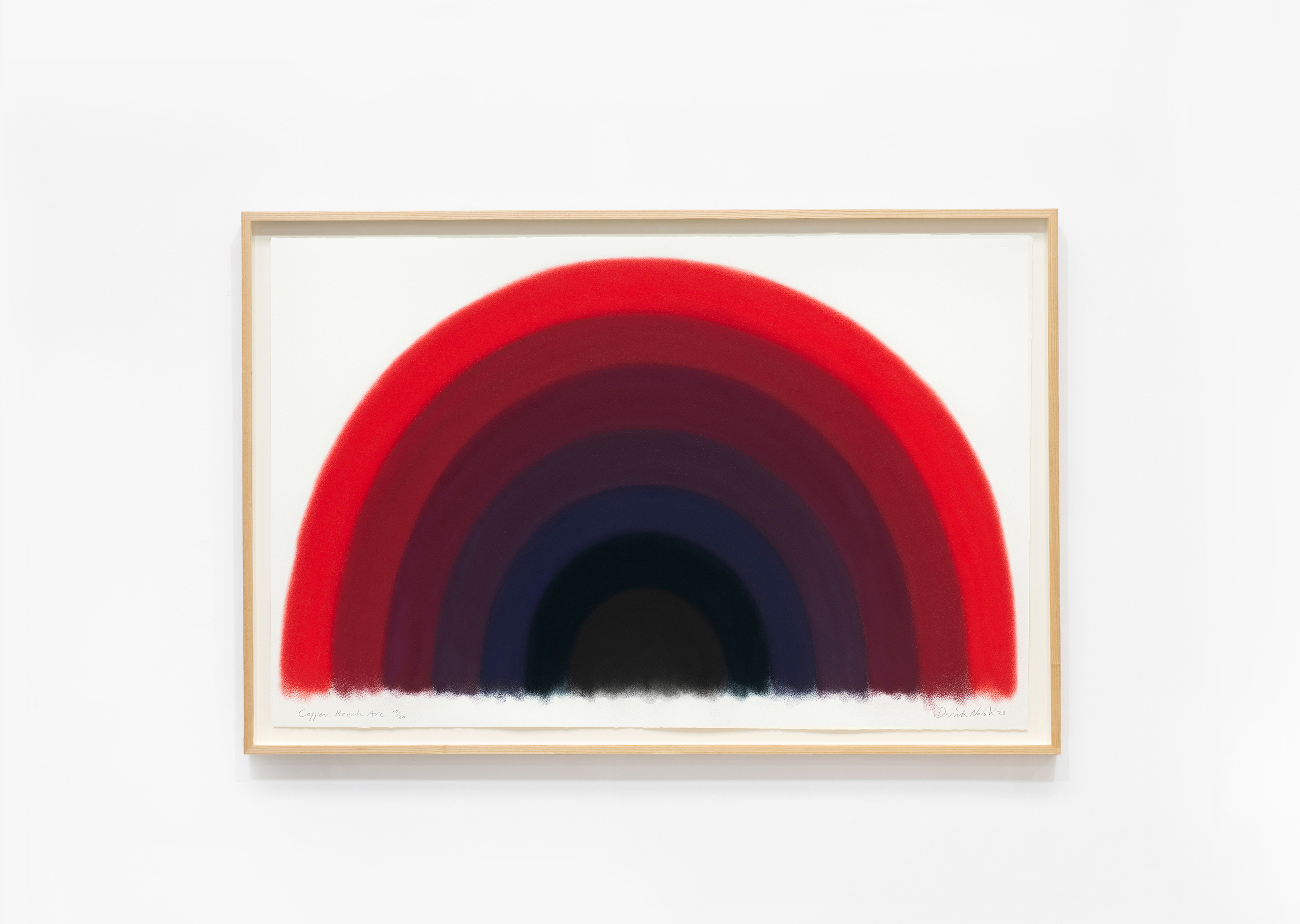 estampe Copper Beech Arc David Nash